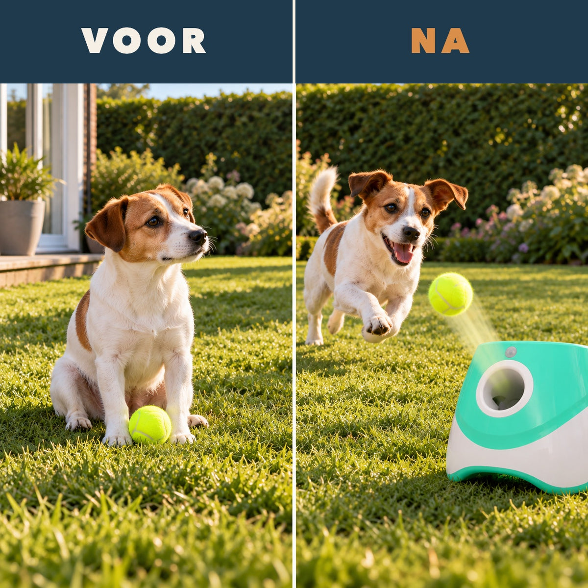 Voor en na: verveeld wachten, daarna rennen achter de bal
