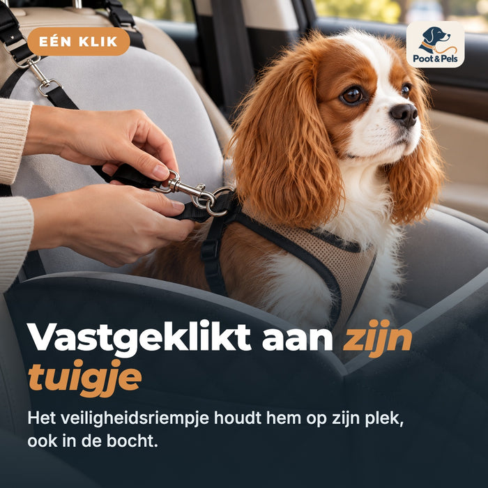 Eén klik: vastgeklikt aan zijn tuigje. Het veiligheidsriempje houdt hem op zijn plek, ook in de bocht.