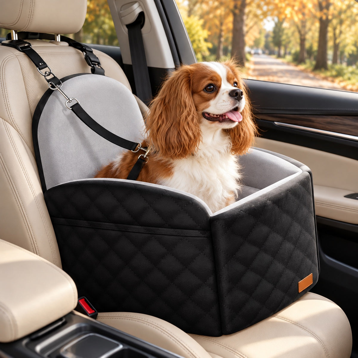 Cavalier king charles in het zwarte Autozitje op de passagiersstoel