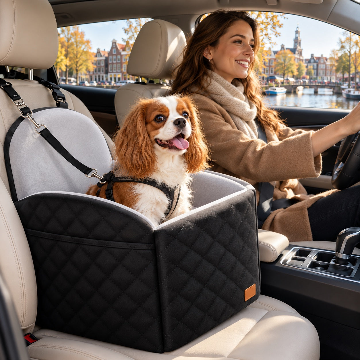 Hond in zijn autozitje naast zijn baasje achter het stuur