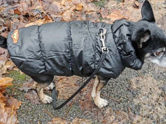 Foto van de koper