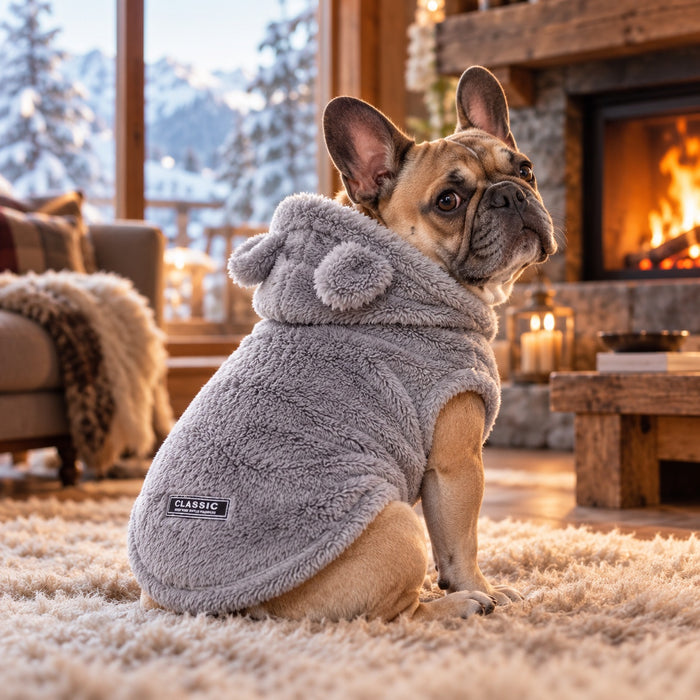Franse bulldog met de grijze Teddyhoodie voor de open haard